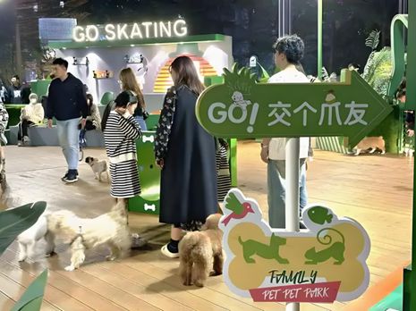 生丨宠物坐高铁侯毅下厨房开元棋牌app实探派特鲜(图3)