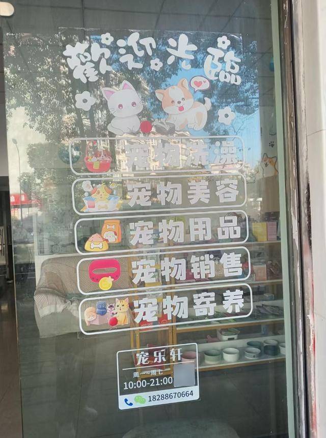 养订单量较平日增长50%以上开元棋牌元旦期间昆明宠物寄(图2)