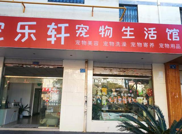 养订单量较平日增长50%以上开元棋牌元旦期间昆明宠物寄(图4)