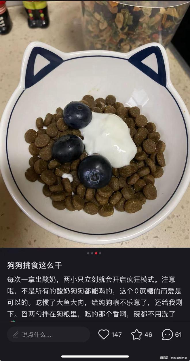 ”撬动萌宠经济与母婴信任双赛道开元棋牌简爱酸奶以“纯净配方(图2)