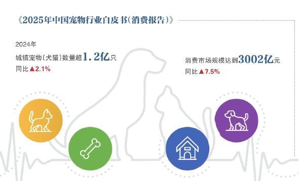 半宠物鲜食的风口迷局开元棋牌派特鲜生关店