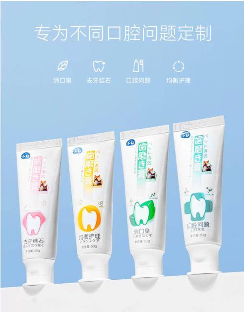 宠物口腔护理很重要！开元棋牌关注口腔清洁