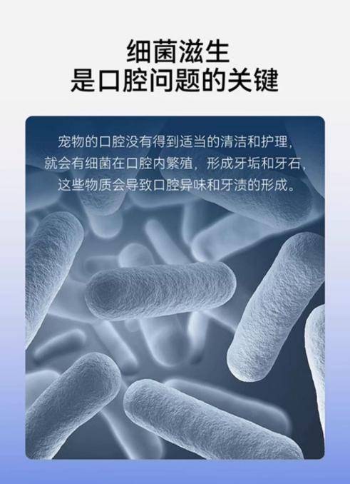 宠物口腔护理很重要！开元棋牌关注口腔清洁(图3)