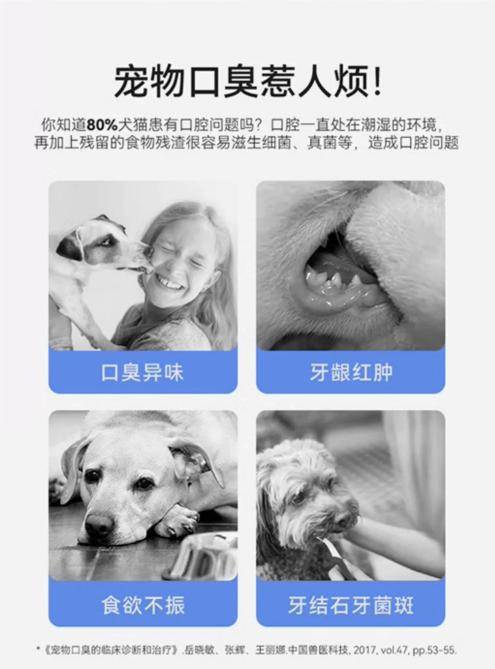 宠物口腔护理很重要！开元棋牌关注口腔清洁(图4)